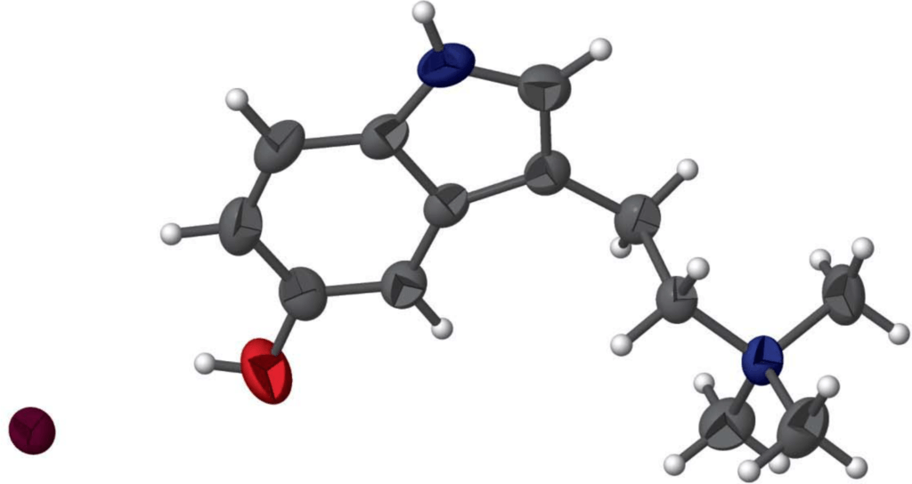 Bufotenidinium iodide