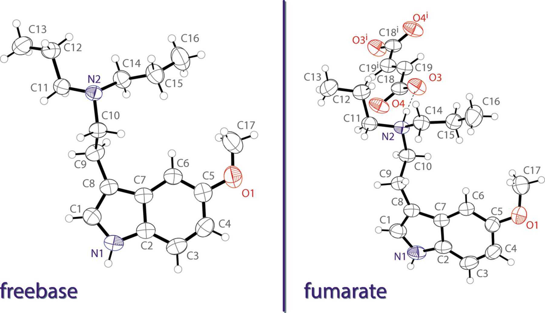 5-MeO-DPT Freebase and Fumarate