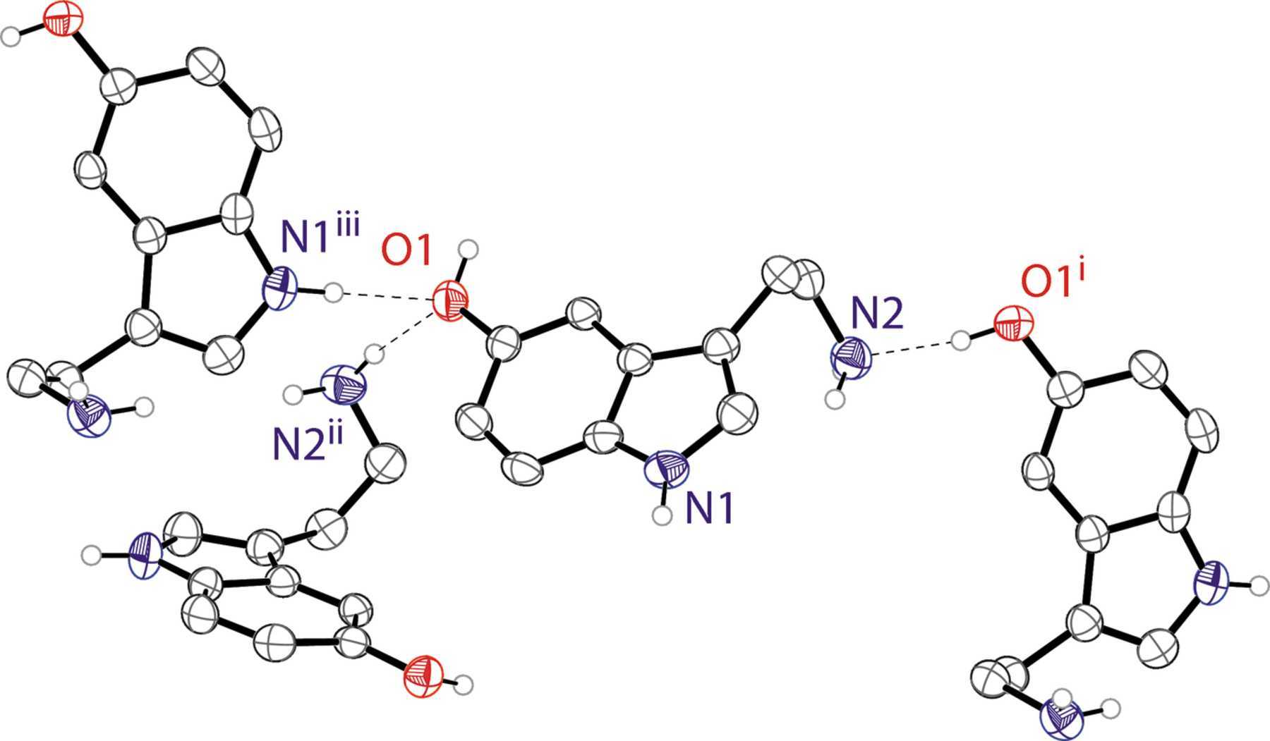 A diagram showing the molecular structure of serotonin